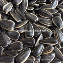 graines de tournesol tonne prix graines de tournesol prix du marché graines de tournesol bon marché